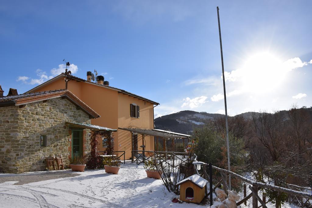 Agriturismo La Coccinella Valfabbrica Exterior foto